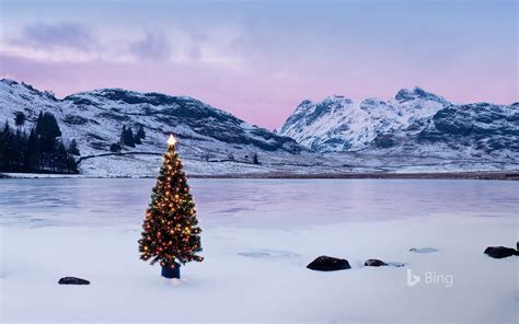 Bing Christmas Tree Wallpapers - Wallpaper Cave