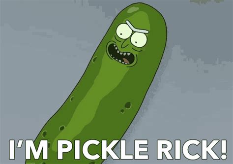 'Pickle Rick' Is The 'Rick & Morty' Meme You're About To Be Obsessed ...