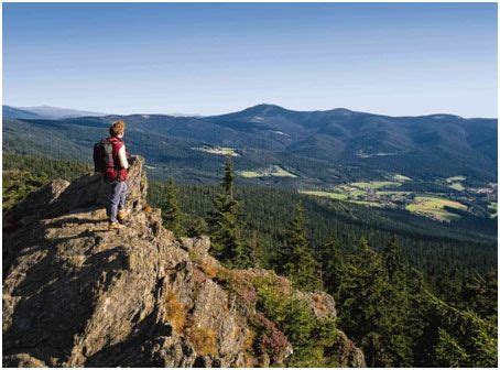 View point Bavarian Woods Germanic Tribes, Gardens Of The World, Roman Empire, Bavaria, Germany ...