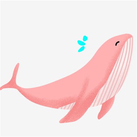 Pink Whale Clipart PNG Images, Pink Whale Cartoon Whale Wild Animals ...