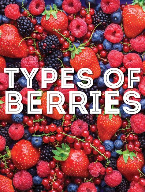 Berry Definition, Types, Examples Britannica, 43% OFF