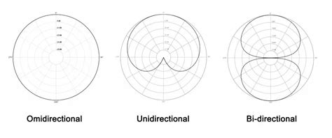 Supercardioid or Cardioid? Understanding Microphone Patterns | Vocalist