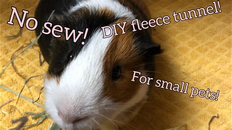 No-Sew DIY Fleece Tunnel For Guinea Pigs (and other small pets) - YouTube