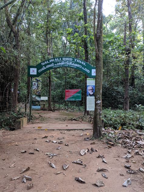 Magical Nature on the Birding Trails of Thattekad Bird Sanctuary, Kerala - Be On The Road | Live ...