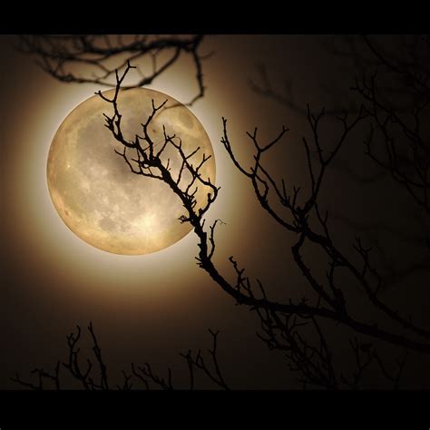 Wolf Moon Composite II | Nick Bramhall | Flickr