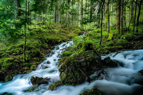 A Hazy Stream Drifts Across a Spring Landscape in an Enchanting Series of Long-Exposure Photos ...