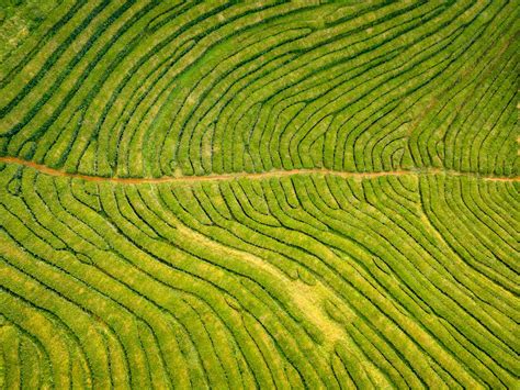 Aerial View Of Farmland · Free Stock Photo