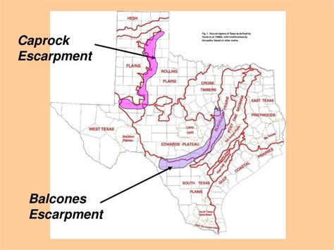 PPT - Regions of Texas PowerPoint Presentation - ID:6903675