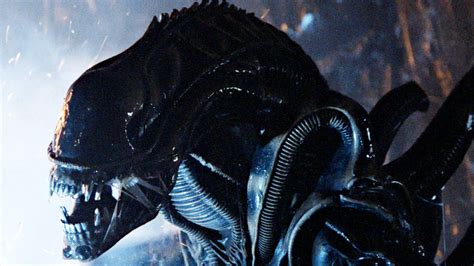 See How The Alien Xenomorph Originally Looked, It's Wildly Different ...