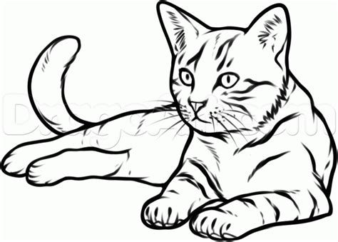 cat drawing - Google Search | Dibujos de gatos, Tatuaje silueta gato ...