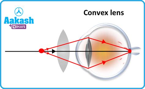 Convex Lens Uses