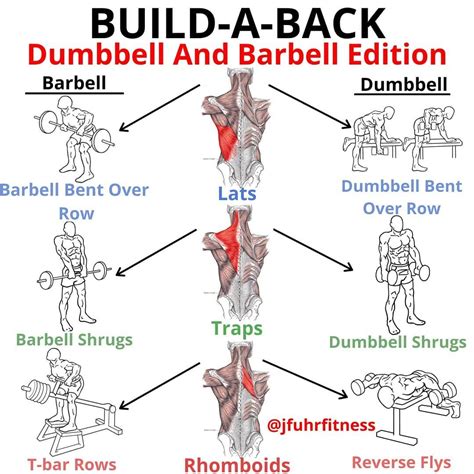 The Only Back Workout You Need for That Perfect V-Shape - GymGuider.com ...