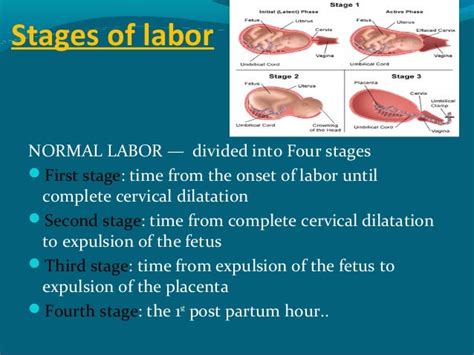 Krok-2 Obstetrics and Gynecology Base with Highlights & Explanation