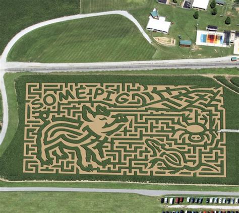 20 Best Corn Mazes Near Me in the US