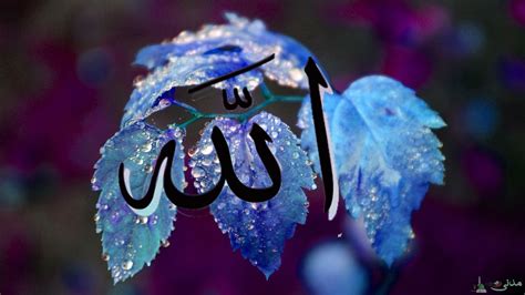 🔥 Download Wallpaper Allah Names The Of In Name by @elizabethc3 | Allah Name HD Wallpapers ...