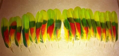 Amazon Parrot Tail Feathers by RedTezka on DeviantArt