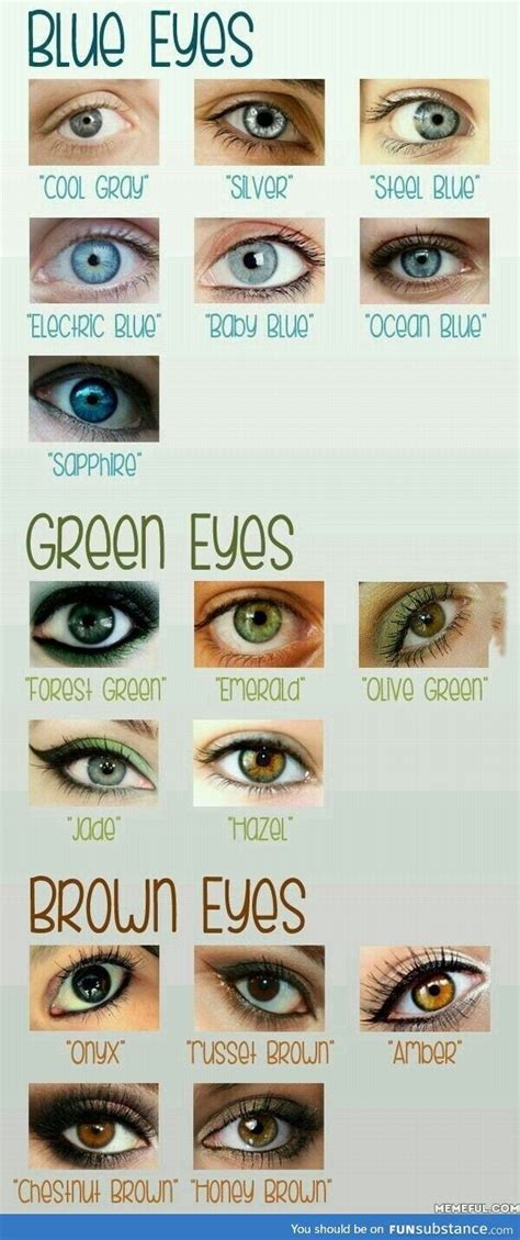 Eye Color Facts, Blue Eye Color, Eye Colors, Blaues Make-up, Eye Chart, Gray Eyes, Brown Eyes ...