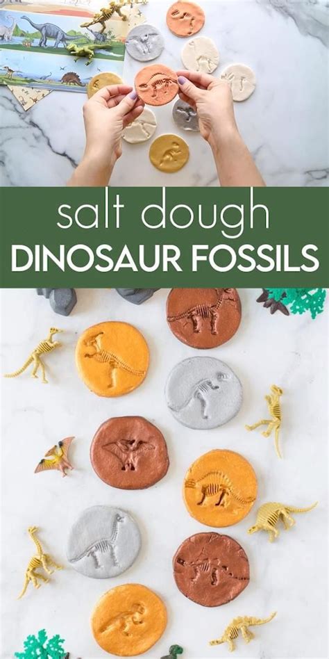 Dinosaur fossils for kids – Artofit