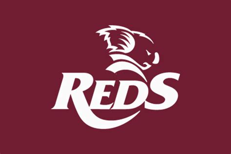 Simon Craig appointed interim Queensland Reds Super W head coach, as ...