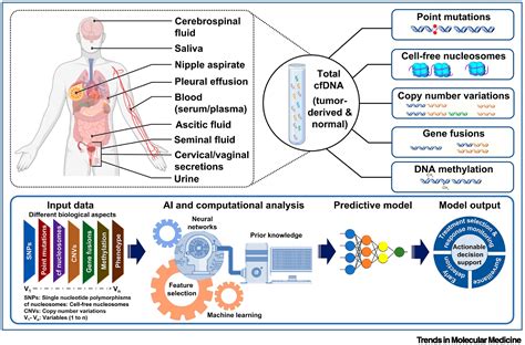 Cell-free circulating tumor DNA profiling in cancer management: Trends ...