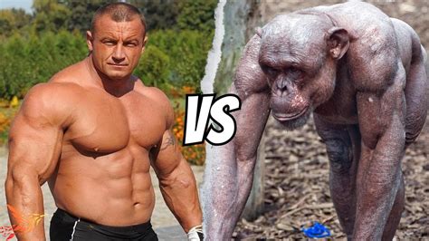 Chimpanzee vs Human Strength | Comparing Bench Press, Squat, & Deadlift - YouTube