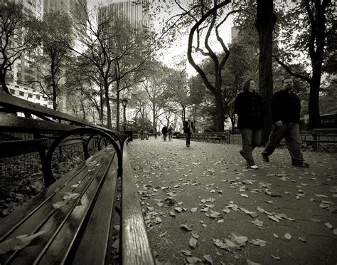 Central Park Bench Photograph by Sean Wray - Pixels