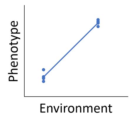 Example reaction norm where the phenotypes of multiple organisms (each... | Download Scientific ...