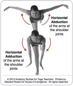 Horizontal Abduction and Adduction | Anatomy and physiology, Yoga teachers, Anatomy study