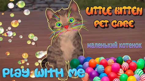 My Favorite Cat Little Kitten Pet Care Play Cat Care Games for Baby ...