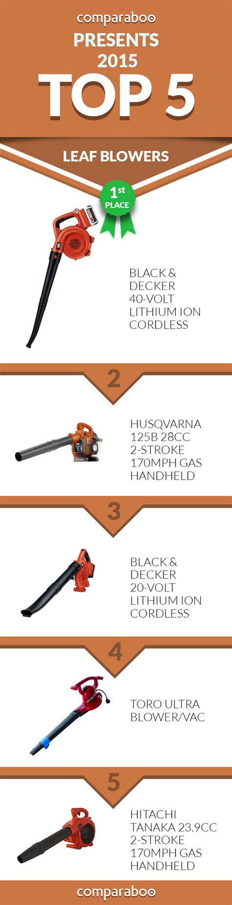 A Chart of the Best 5 Leaf Blowers of 2015. Click to see the internet's highest rated leaf ...