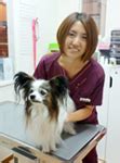 犬の老化も足腰から。愛犬の「ロコモ対策」を始めよう！ | Petwell Report | Petwell（ペットウェル）