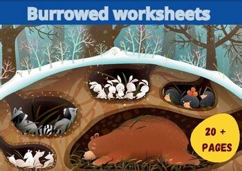 Burrowed Animals Worksheets by LolliArtDesignes | TPT