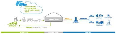 What is biomethane - The biogas upgrading - IES biogas : IES biogas
