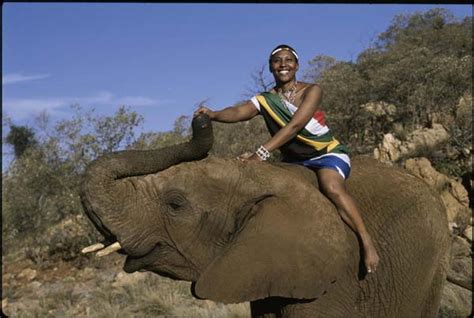 RIding an elephant, Johannesburg, Gauteng province, South Africa Photo