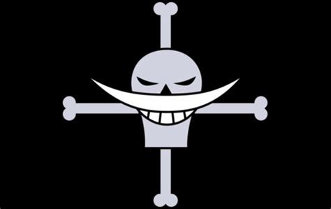 Whitebeard Pirates - One Piece: Pirate Warriors Wiki