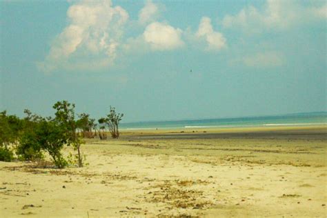 12 Best Sea Beaches in West Bengal - My Travel Frames