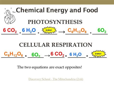 Photosynthesis And Cellular Respiration Equation
