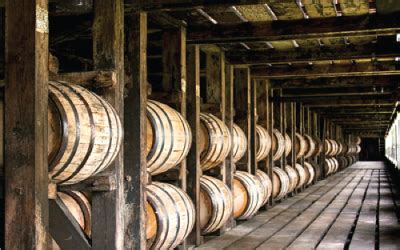 Tour the Wild Turkey Distillery - Bourbon Trail Tours