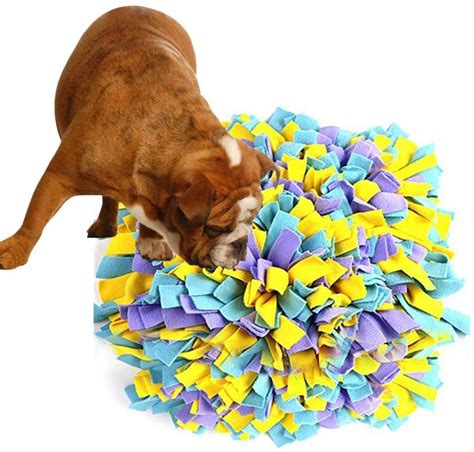 Searching for the Perfect Snuffle Mat? Check Out Our Top 10 Picks for ...