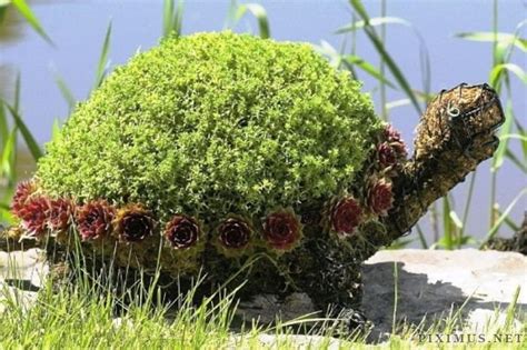 Topiary Art | Art