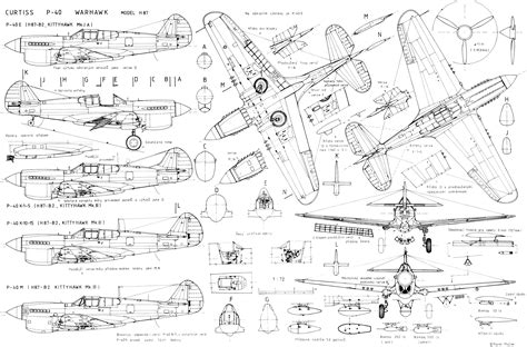 Download Curtiss P-40 Warhawk Military Schematic 4k Ultra HD Wallpaper