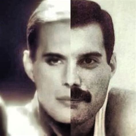 Questioning Our Reality: Freddie Mercury Faked His Death