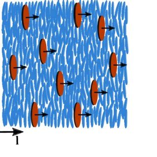 Schematic depicting the orientations of nematic (blue) and magnetic... | Download Scientific Diagram