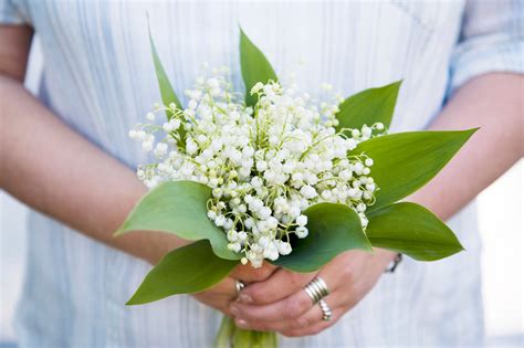 May Birth Flower: Lily of the Valley - agrohort.ipb.ac.id