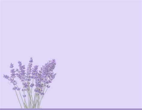Plain Lilac Background | PixLith