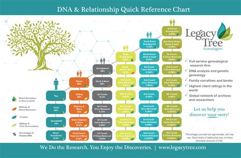 Develop Your DNA Testing Plan for Genealogy - Genealogy Gems