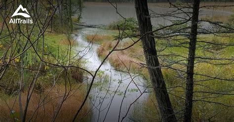 Best Trails in Rifle River Recreation Area - Michigan | AllTrails