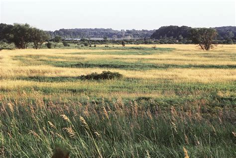 Illinois Prairie Photograph by Johnny Lichter - Fine Art America