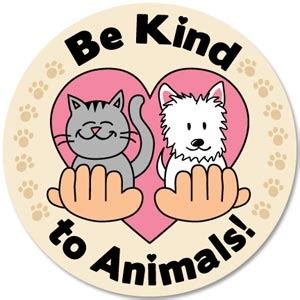 Kindness Animals