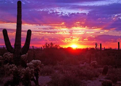 The Fiery Phoenix | Arizona sunrise, Arizona sunset, Desert sunrise